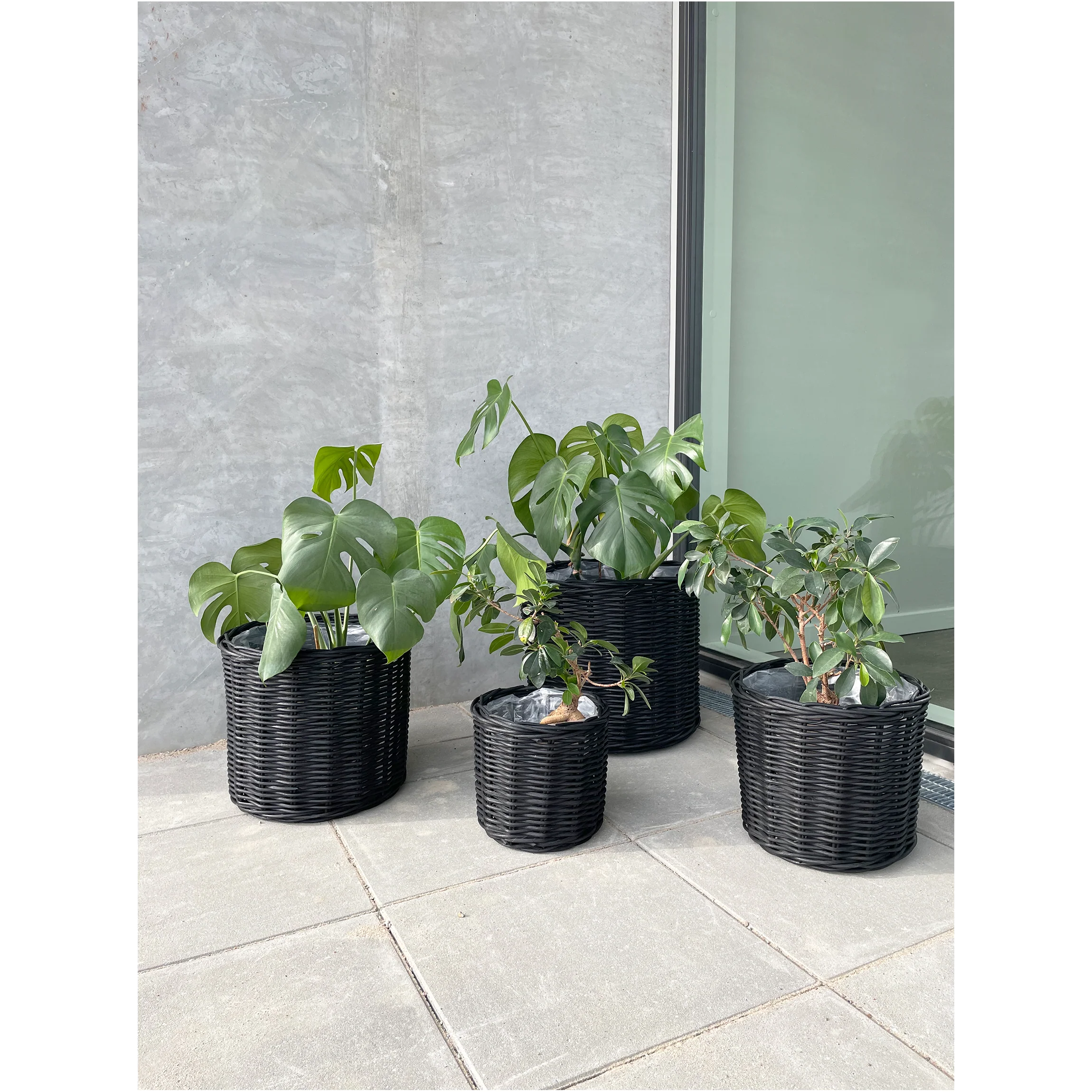 Miniatuur 2